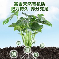 40L国产先机育苗基质草炭土蛭石 珍珠岩通用型营养土水果蔬菜种植