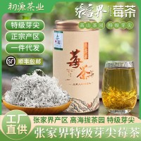 100克张家界莓茶特级芽尖莓茶正宗龙须茅岩霉茶土家藤茶一件代发