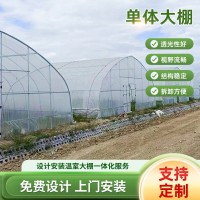 农业内保温温室大棚骨架遮阳温室圆拱形薄膜温室大棚单体大棚遮阳