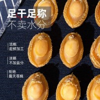 鲍鱼干野干鲍海鲜佛跳墙非即食大小鲍鱼摆摊地摊展会干货跑江湖