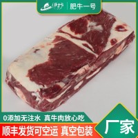 国产清真牛肉肥牛一号 伊护肥牛可切片肥牛卷 新鲜冷冻鲁西黄牛肉